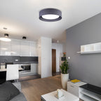 3-Light Opal Glass Flush Mount Ceiling Light - Ultra-Slim 15.7in